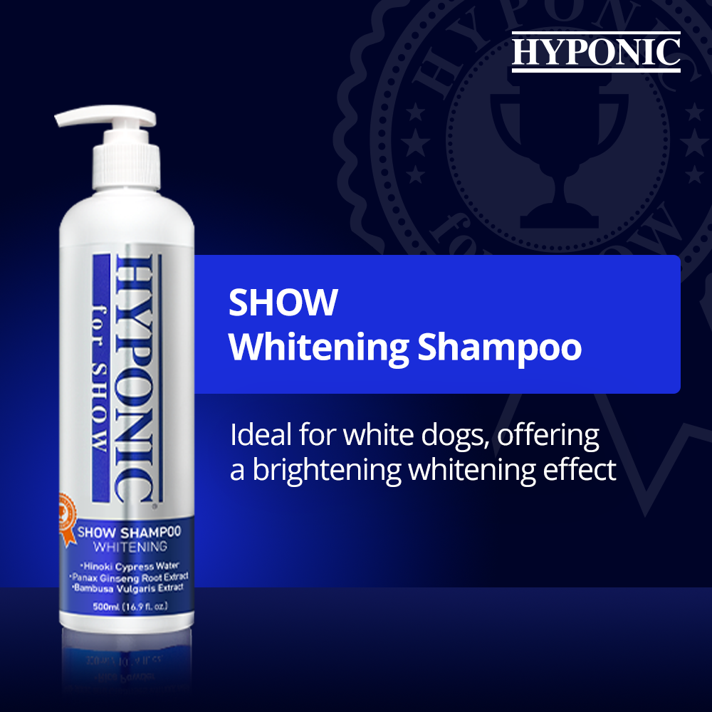 SHOW DOGS Cypress Water Shampoo (Whitening) 3,8L
